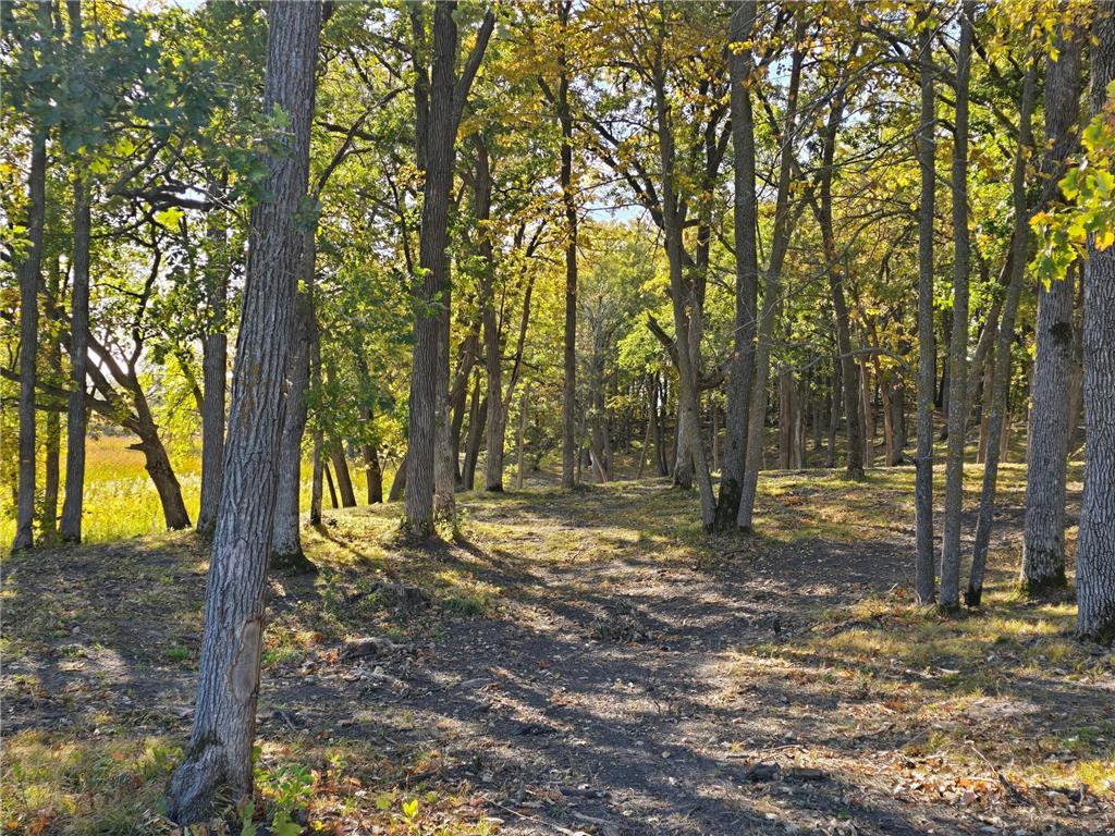 Tract A Blybergs Lane Pelican Rapids MN 56572 - Fish Lake 6609242 image47
