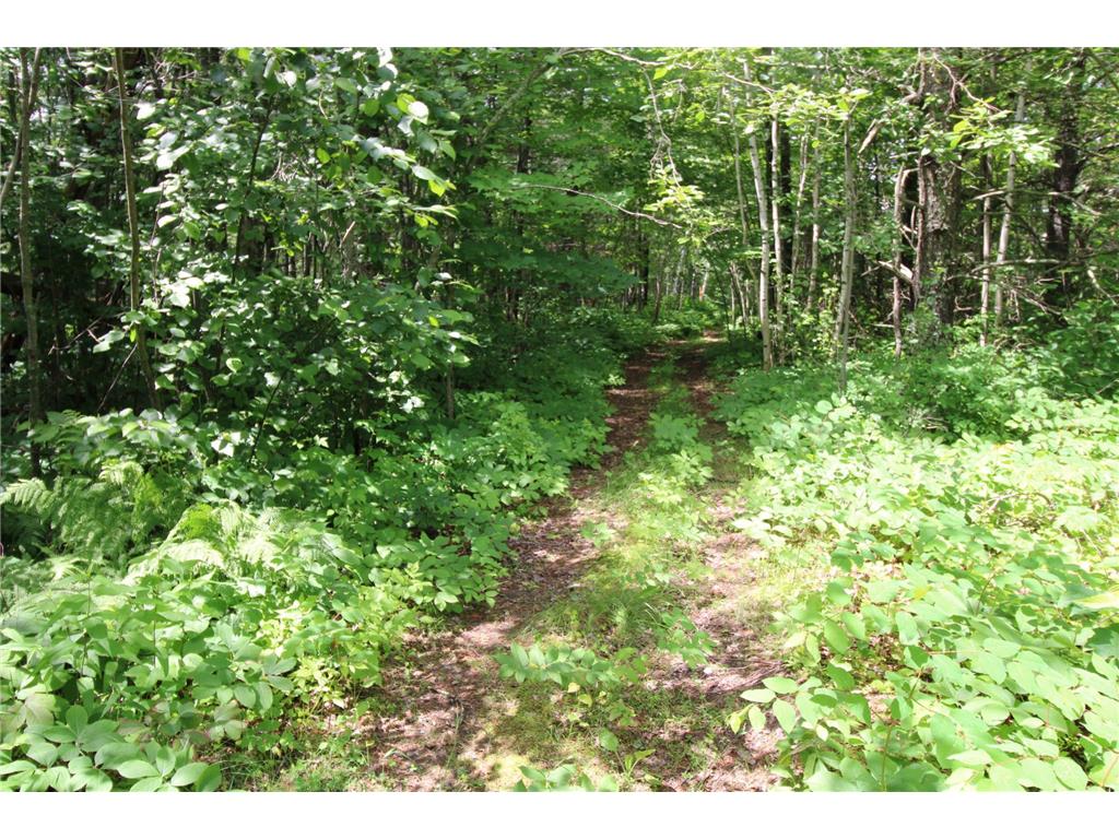 Tract A County Road 1 Emily MN 56447 6763918 image5