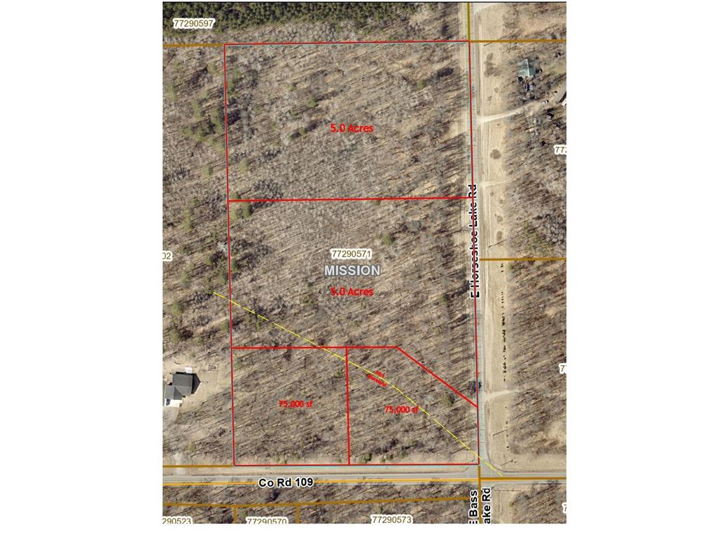Tract A East Horseshoe Lake Road Mission Twp MN 56465 6487707 image1