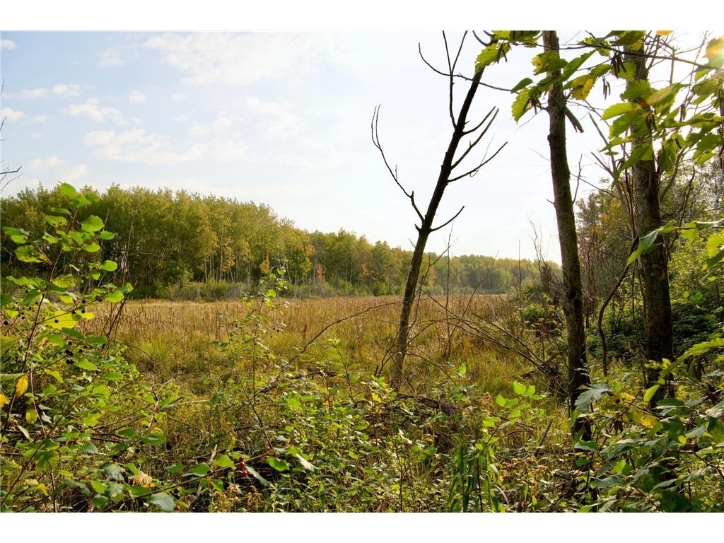 Tract A Hwy 371 Brainerd MN 56401 6798282 image10