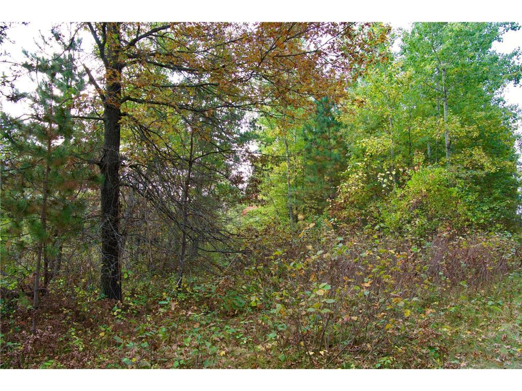 Tract A Hwy 371 Brainerd MN 56401 6798282 image7