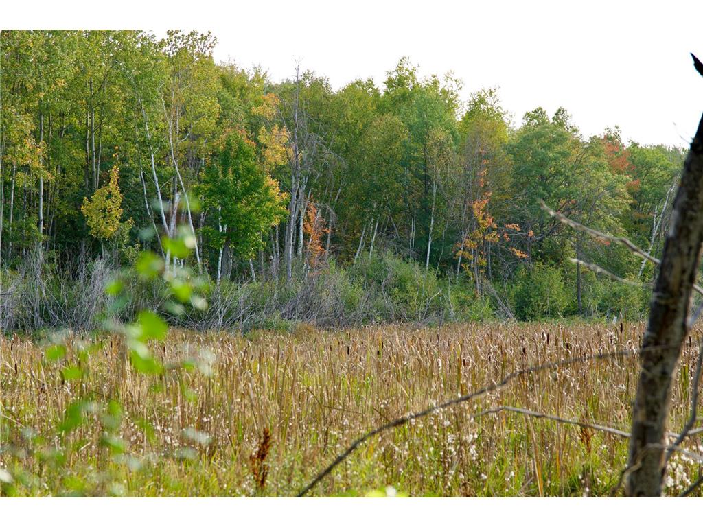 Tract A Hwy 371 Brainerd MN 56401 6798282 image9