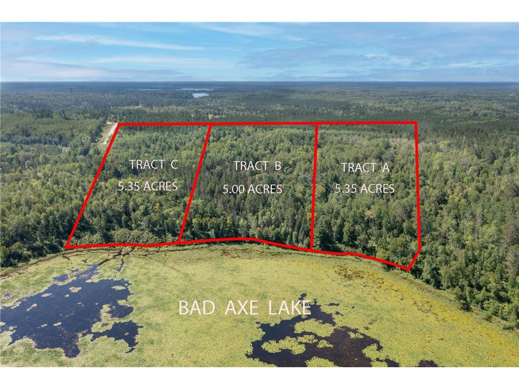 Tract A Jewel Drive Park Rapids MN 56470 - Bad Axe 6782220 image1