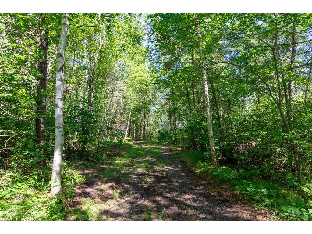 Tract A Jewel Drive Park Rapids MN 56470 - Bad Axe 6782220 image14