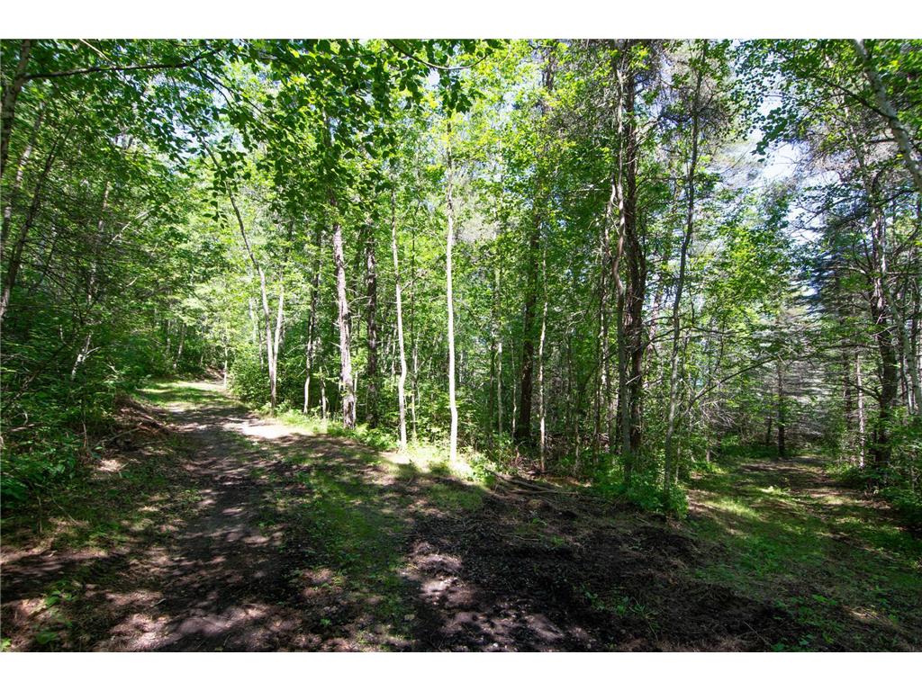 Tract A Jewel Drive Park Rapids MN 56470 - Bad Axe 6782220 image15