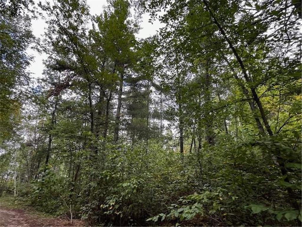 Tract A Jewel Drive Park Rapids MN 56470 - Bad Axe 6782220 image19