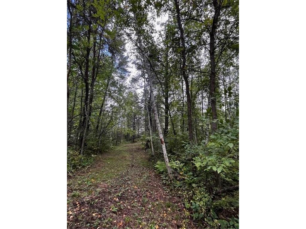 Tract A Jewel Drive Park Rapids MN 56470 - Bad Axe 6782220 image20