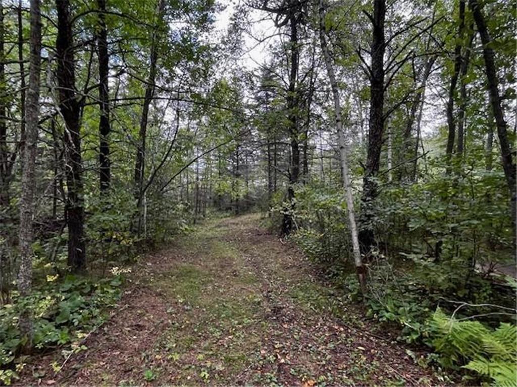 Tract A Jewel Drive Park Rapids MN 56470 - Bad Axe 6782220 image21