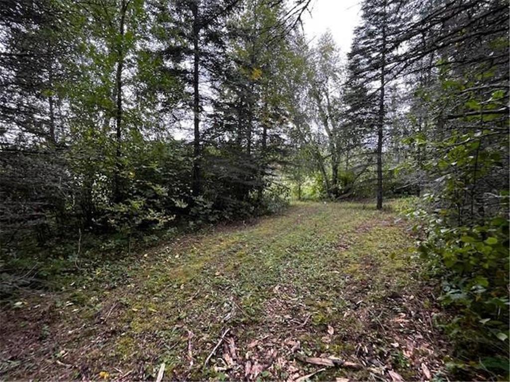 Tract A Jewel Drive Park Rapids MN 56470 - Bad Axe 6782220 image23