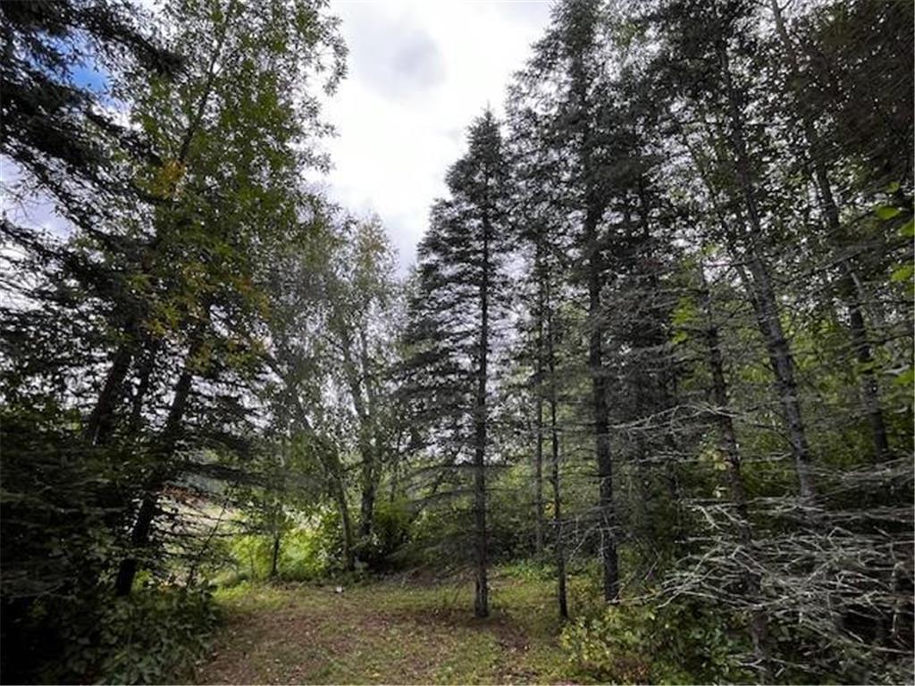 Tract A Jewel Drive Park Rapids MN 56470 - Bad Axe 6782220 image24