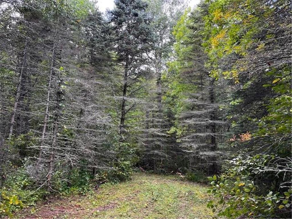 Tract A Jewel Drive Park Rapids MN 56470 - Bad Axe 6782220 image25