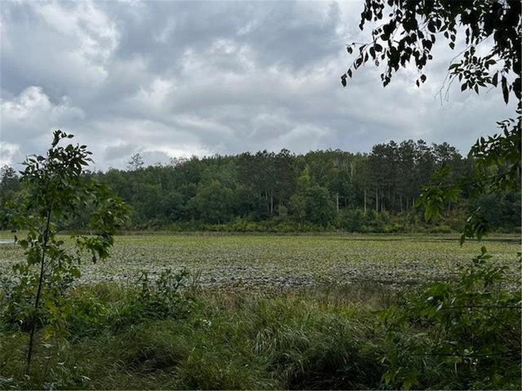 Tract A Jewel Drive Park Rapids MN 56470 - Bad Axe 6782220 image26