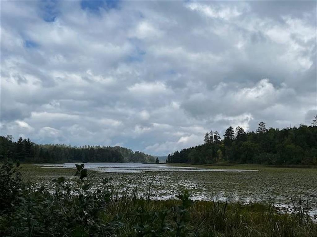 Tract A Jewel Drive Park Rapids MN 56470 - Bad Axe 6782220 image27