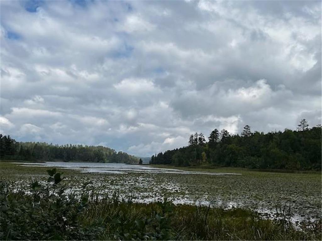 Tract A Jewel Drive Park Rapids MN 56470 - Bad Axe 6782220 image29