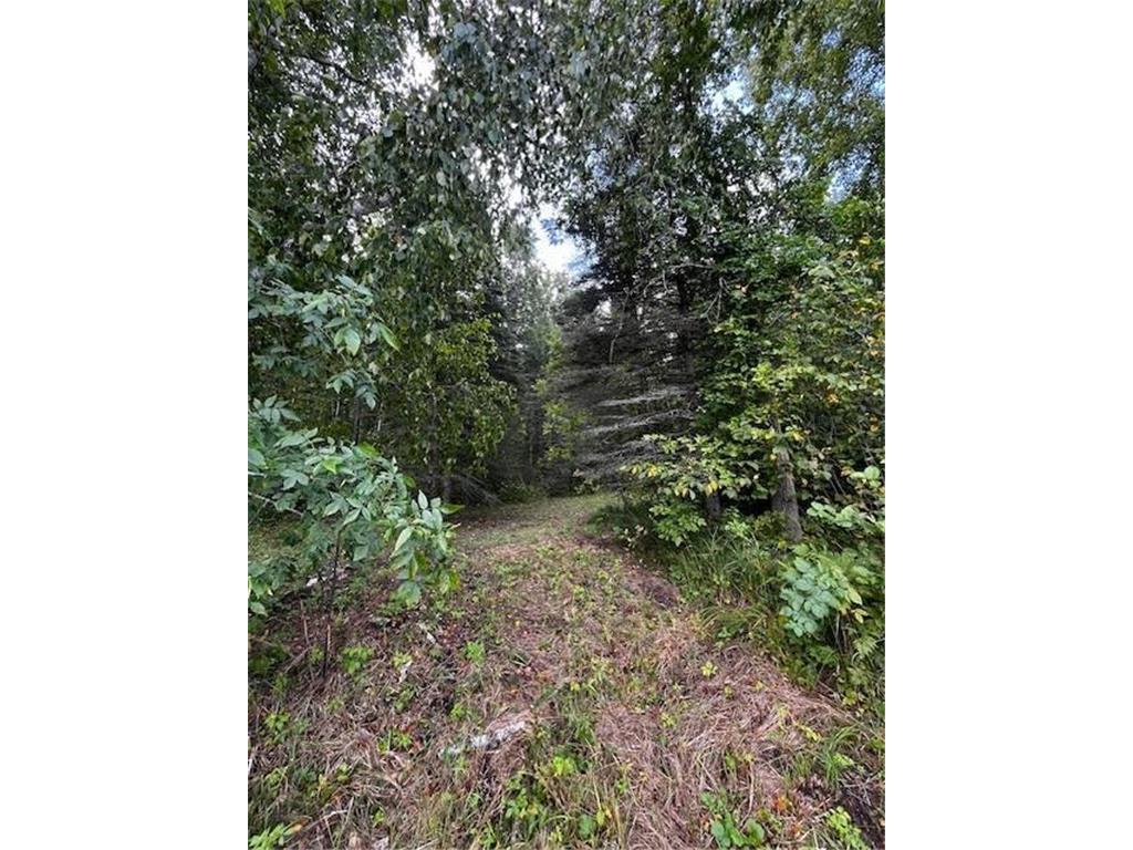 Tract A Jewel Drive Park Rapids MN 56470 - Bad Axe 6782220 image30