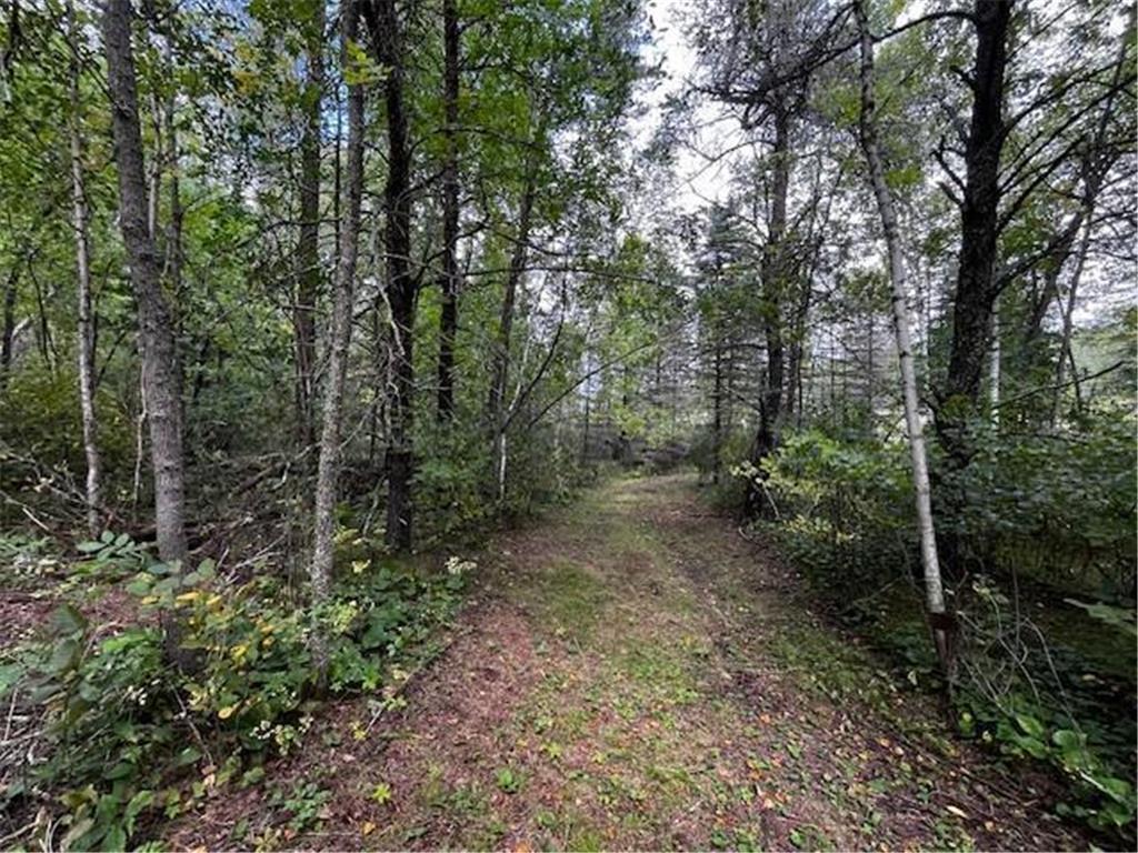 Tract A Jewel Drive Park Rapids MN 56470 - Bad Axe 6782220 image32