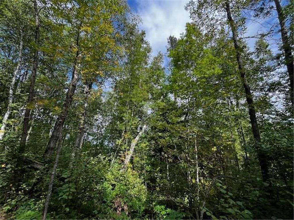 Tract A Jewel Drive Park Rapids MN 56470 - Bad Axe 6782220 image33