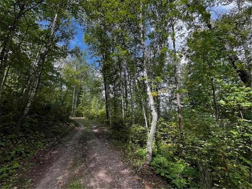 Tract A Jewel Drive Park Rapids MN 56470 - Bad Axe 6782220 image34