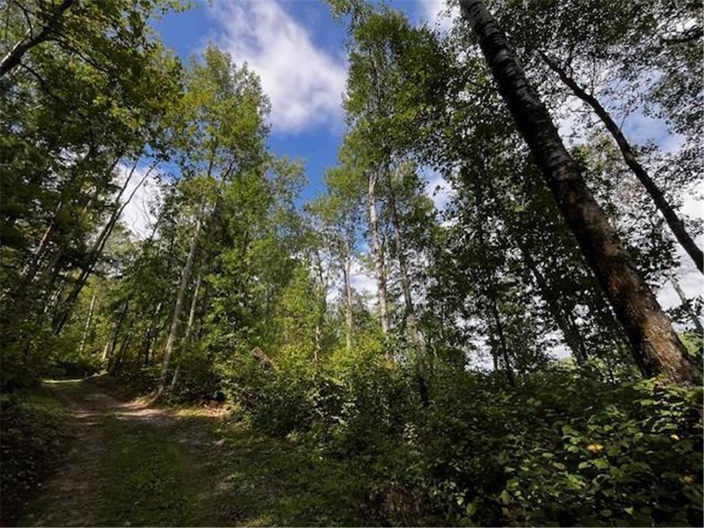 Tract A Jewel Drive Park Rapids MN 56470 - Bad Axe 6782220 image35