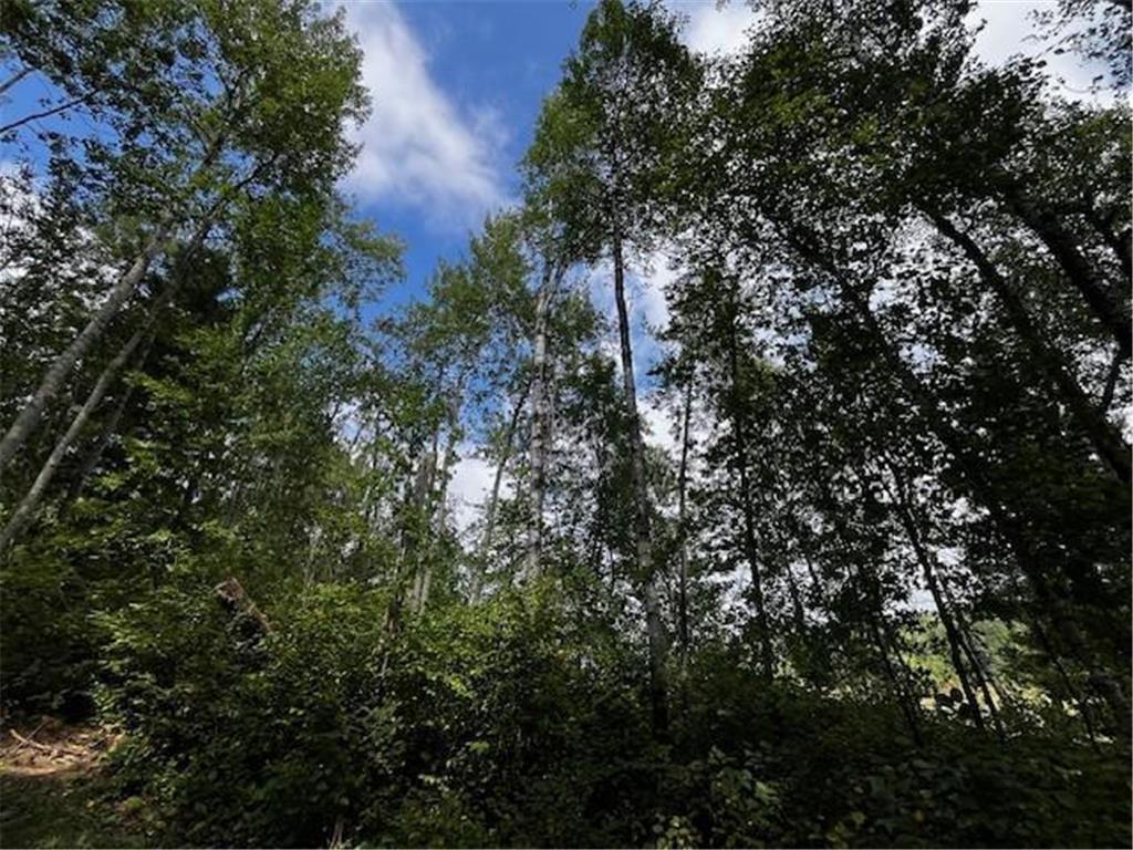 Tract A Jewel Drive Park Rapids MN 56470 - Bad Axe 6782220 image36