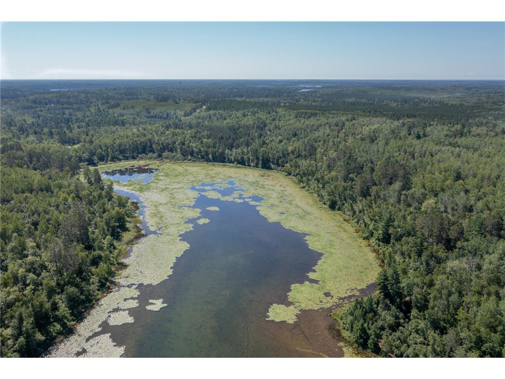 Tract A Jewel Drive Park Rapids MN 56470 - Bad Axe 6782220 image6