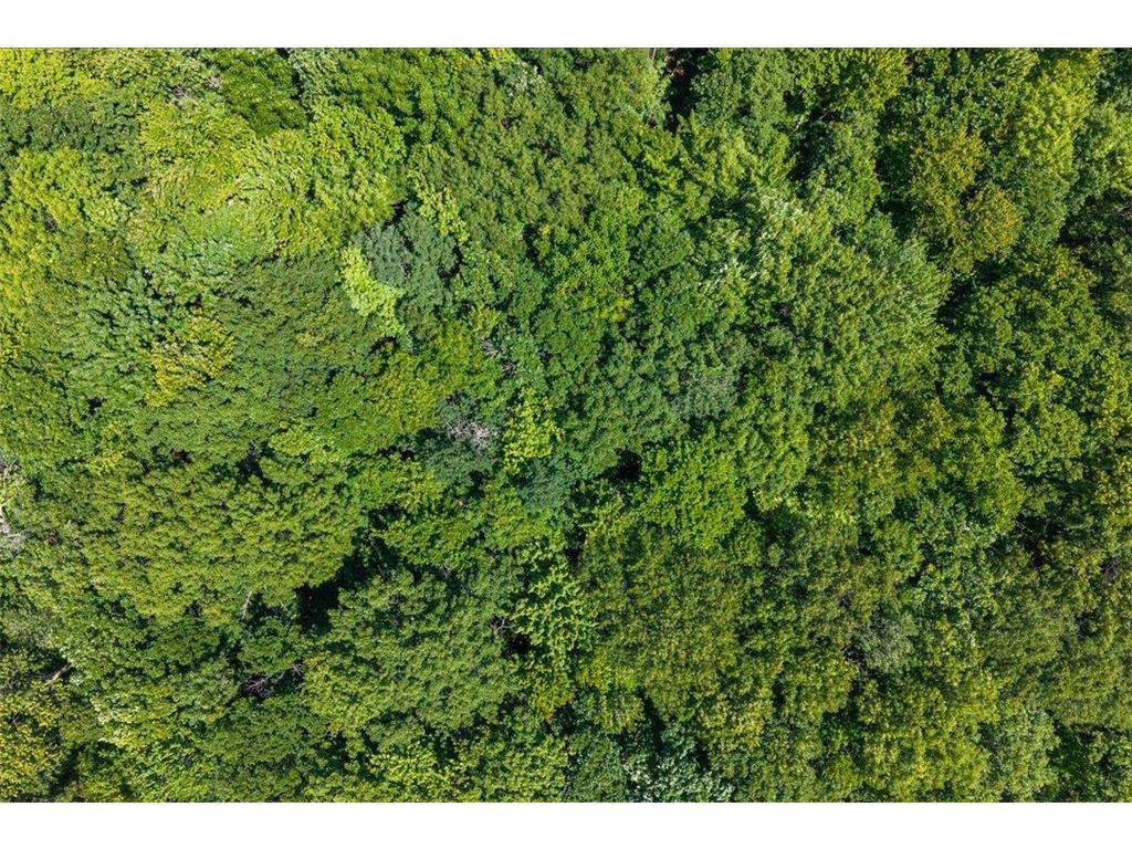 Tract A Maghan Road Deerwood MN 56444 7098016 image6