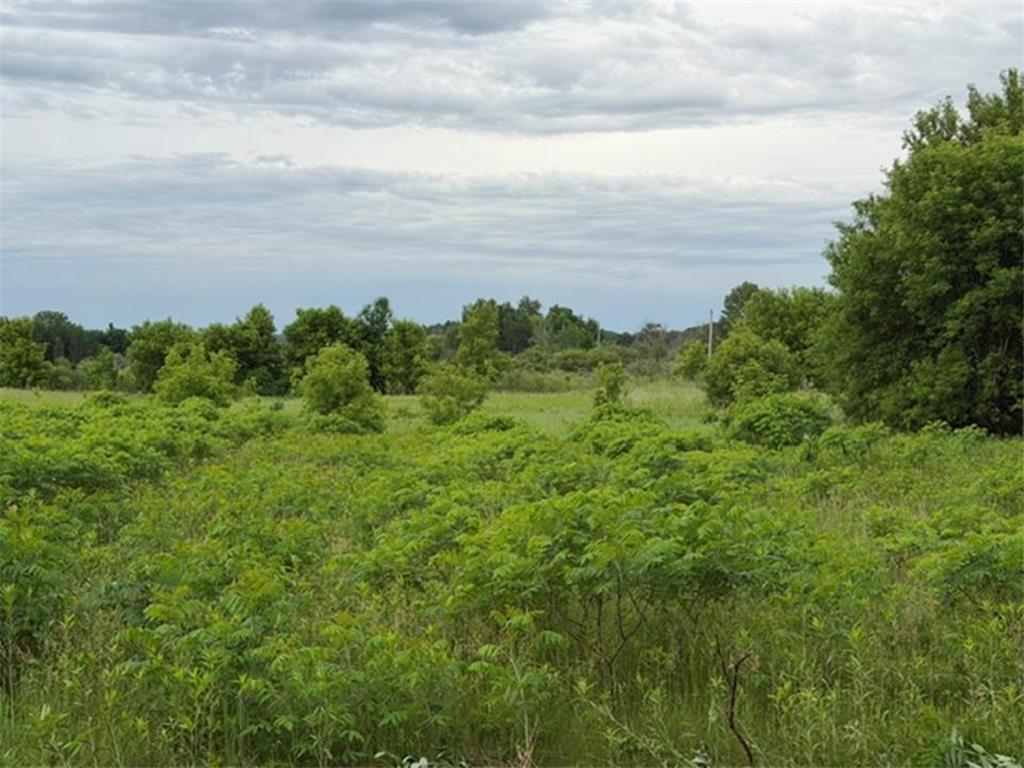 Tract B 113 Street Ashby MN 56309 7091331 image39