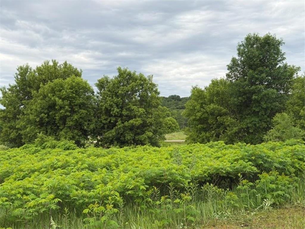 Tract B 113 Street Ashby MN 56309 7091331 image42