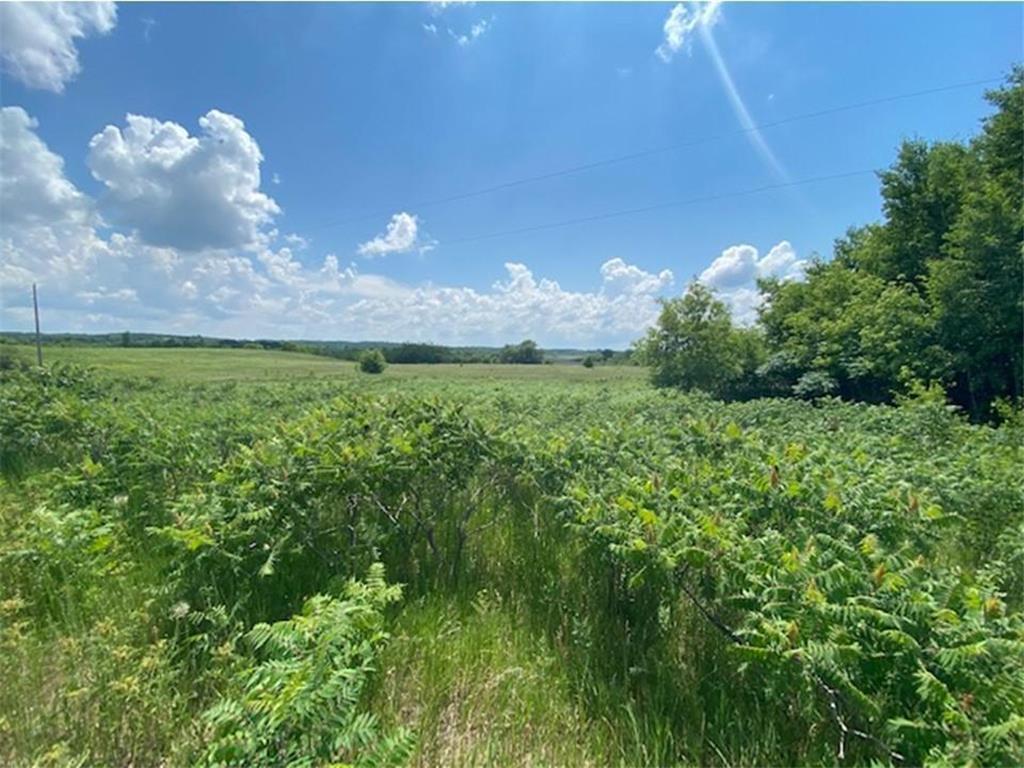 Tract B 113th St Ashby MN 56309 6687653 image4