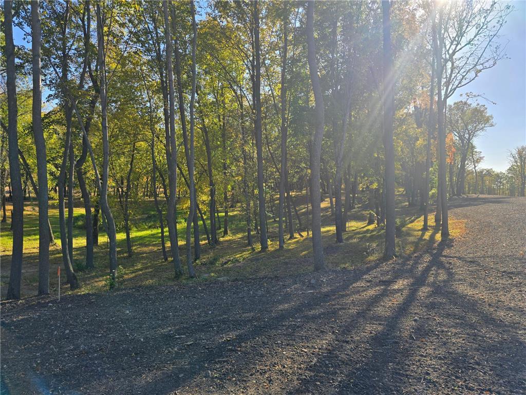 Tract B Blybergs Lane Pelican Rapids MN 56572 - Fish Lake 6609674 image21