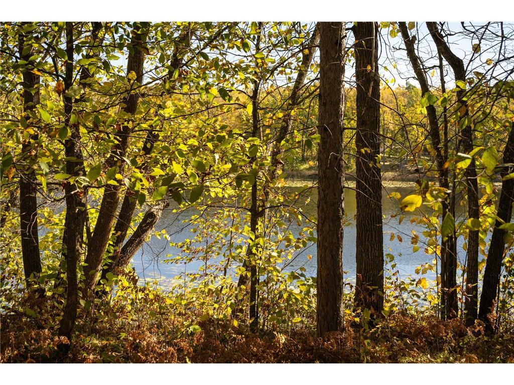 Tract B Brietbach Road Park Rapids MN 56470 - Little Mantrap 6670020 image14