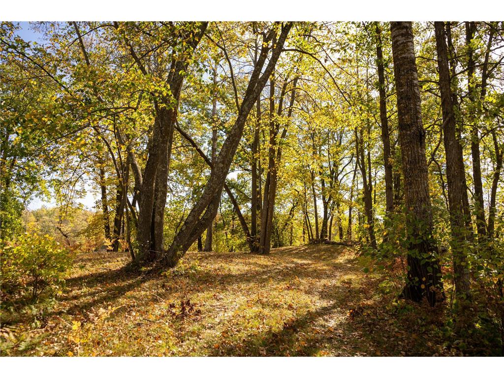Tract B Brietbach Road Park Rapids MN 56470 - Little Mantrap 6670020 image15