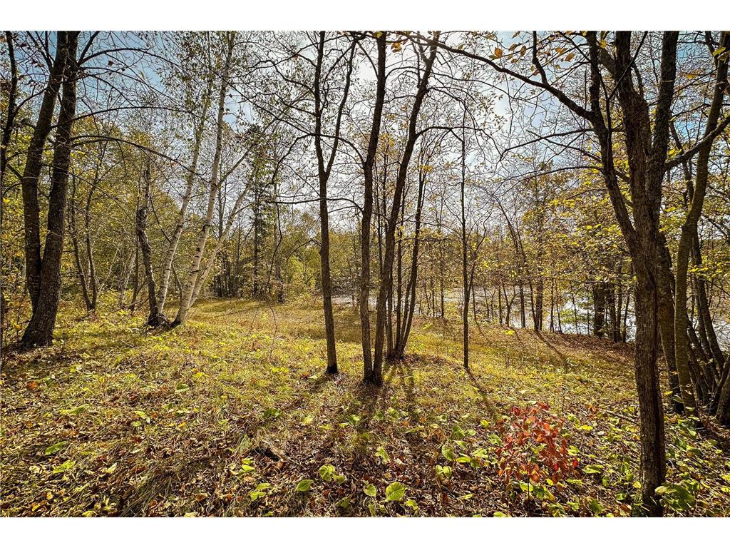 Tract B Brietbach Road Park Rapids MN 56470 - Little Mantrap 6670020 image24