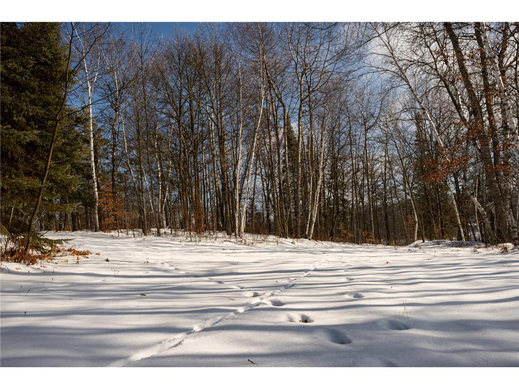 Tract B Brietbach Road Park Rapids MN 56470 - Little Mantrap 6670020 image25