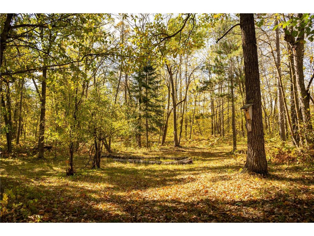 Tract B Brietbach Road Park Rapids MN 56470 - Little Mantrap 6670020 image4