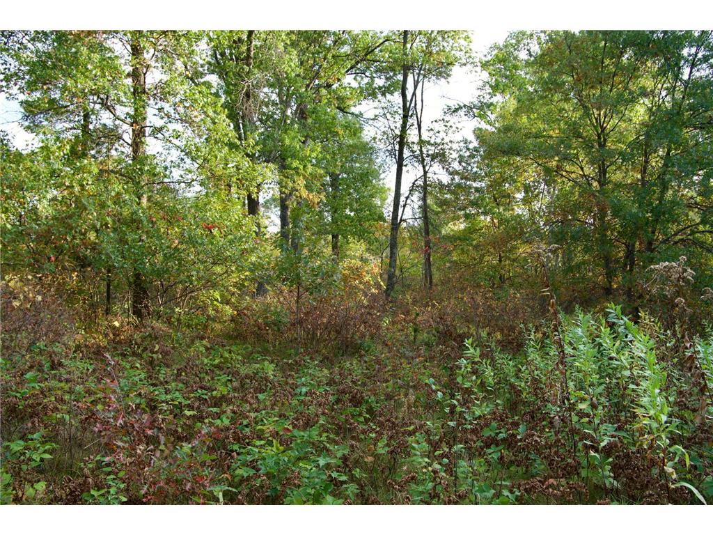 Tract B HWY 371 Brainerd MN 56401 6798225 image4