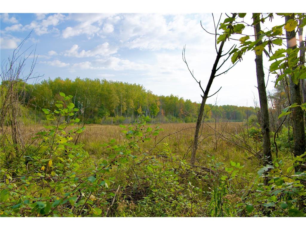 Tract B HWY 371 Brainerd MN 56401 6798225 image8