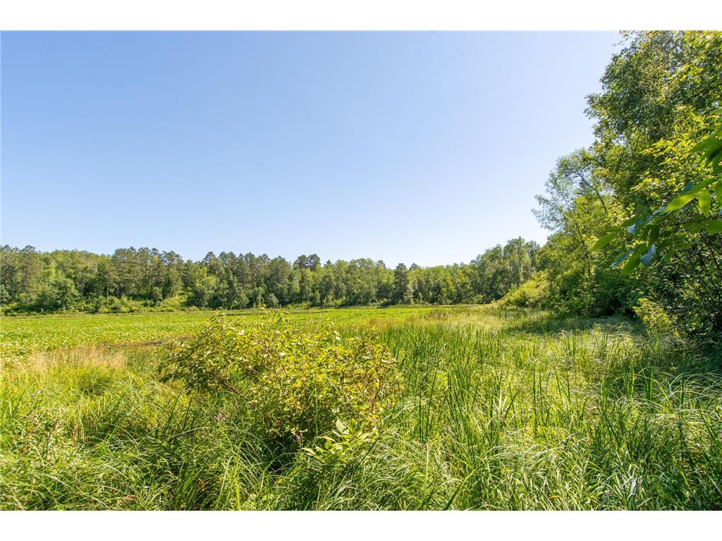 Tract B Jewel Drive Park Rapids MN 56470 - Bad Axe 6782350 image16