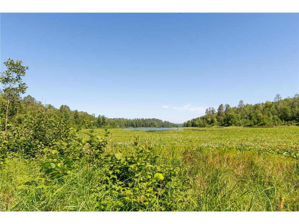 Tract B Jewel Drive Park Rapids MN 56470 - Bad Axe 6782350 image17