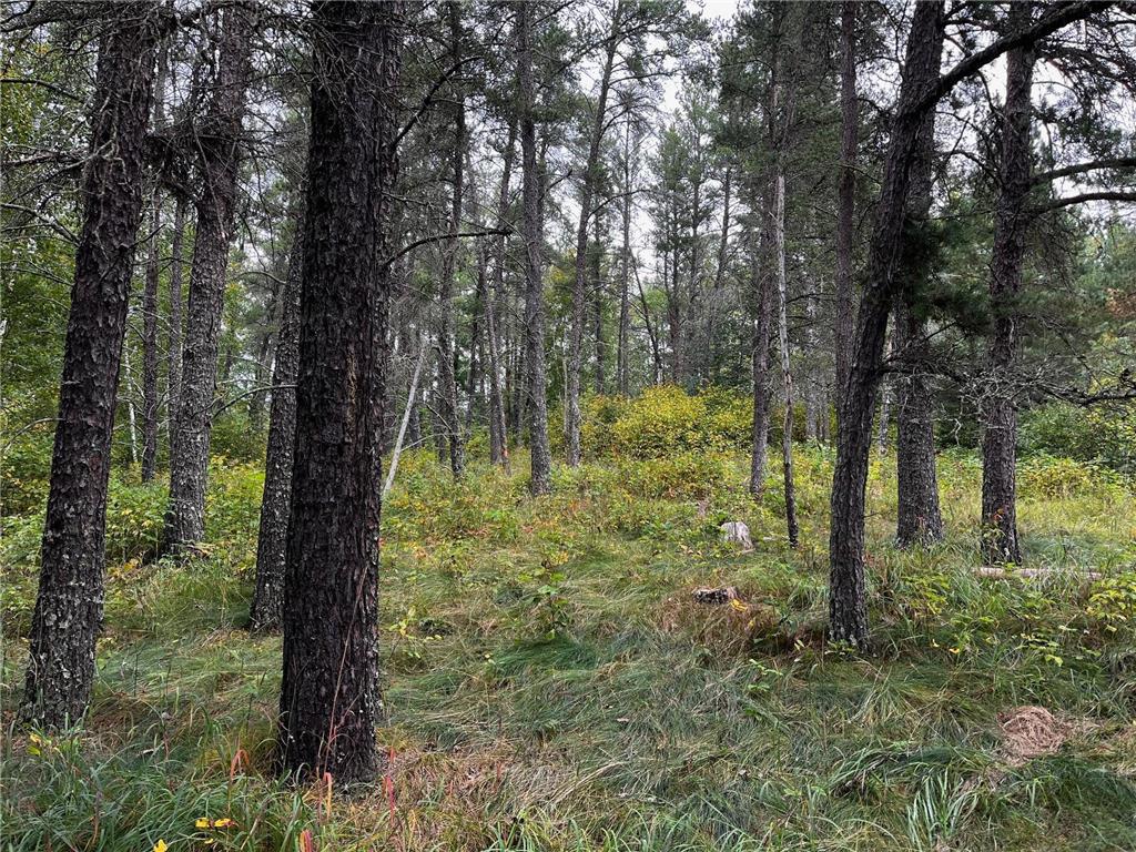 Tract B Jewel Drive Park Rapids MN 56470 - Bad Axe 6782350 image19