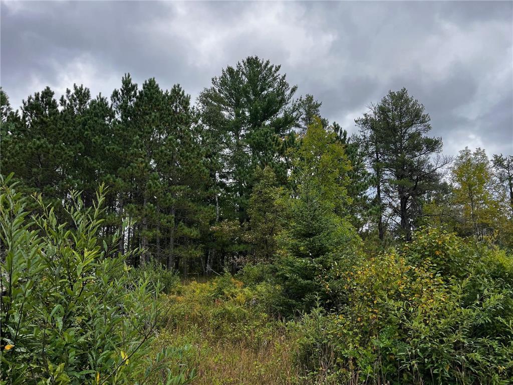 Tract B Jewel Drive Park Rapids MN 56470 - Bad Axe 6782350 image21