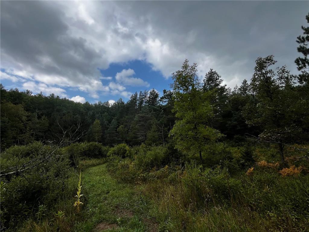 Tract B Jewel Drive Park Rapids MN 56470 - Bad Axe 6782350 image23