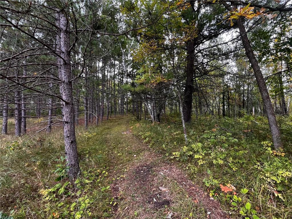 Tract B Jewel Drive Park Rapids MN 56470 - Bad Axe 6782350 image24