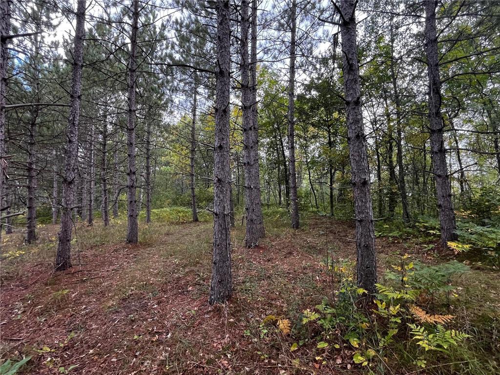 Tract B Jewel Drive Park Rapids MN 56470 - Bad Axe 6782350 image25