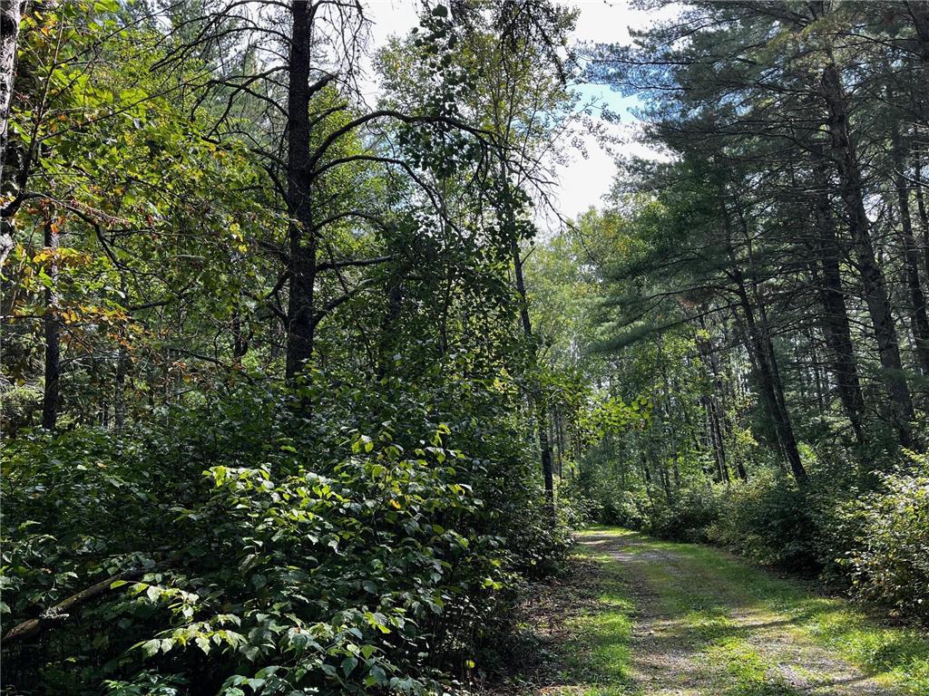 Tract B Jewel Drive Park Rapids MN 56470 - Bad Axe 6782350 image26