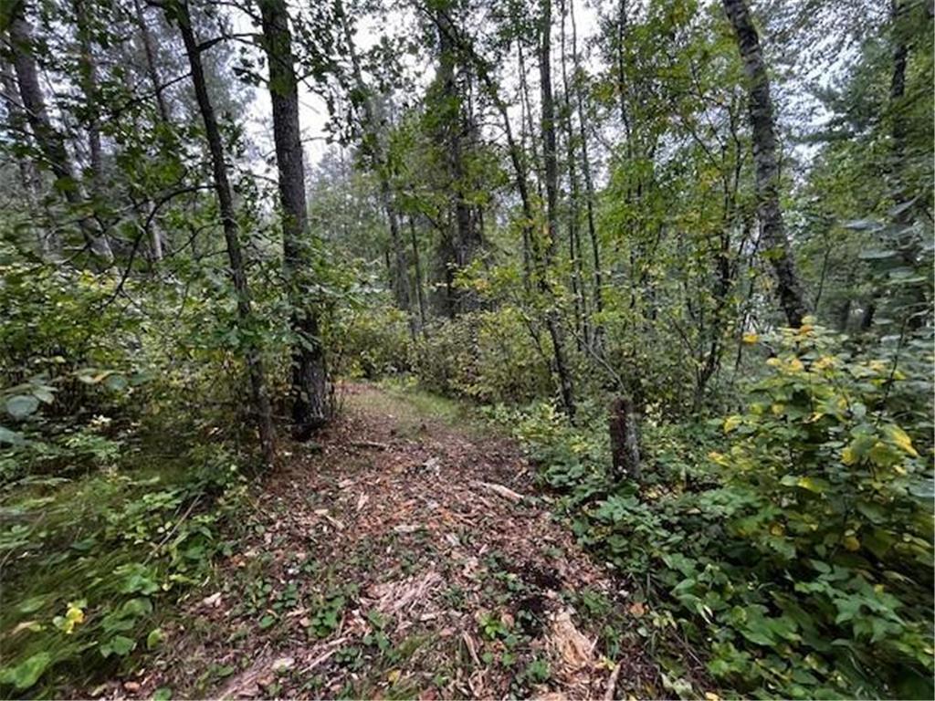 Tract B Jewel Drive Park Rapids MN 56470 - Bad Axe 6782350 image27