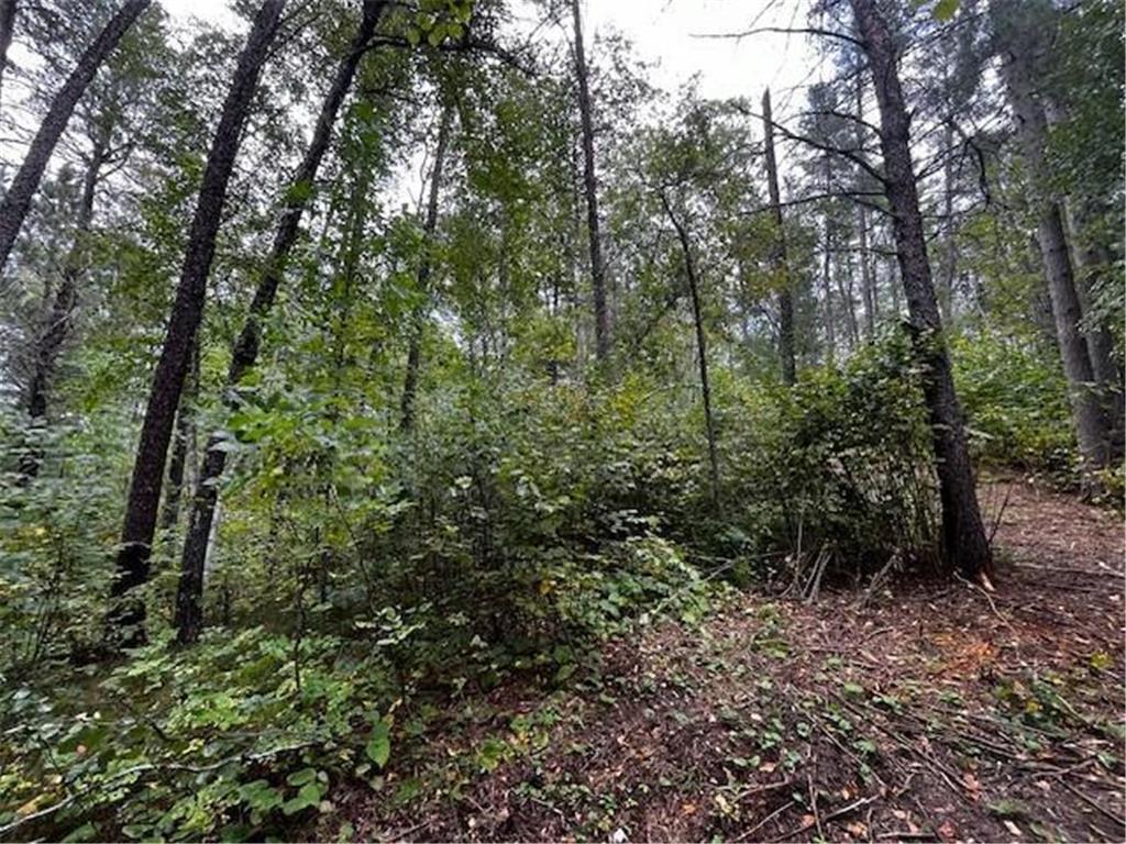 Tract B Jewel Drive Park Rapids MN 56470 - Bad Axe 6782350 image29