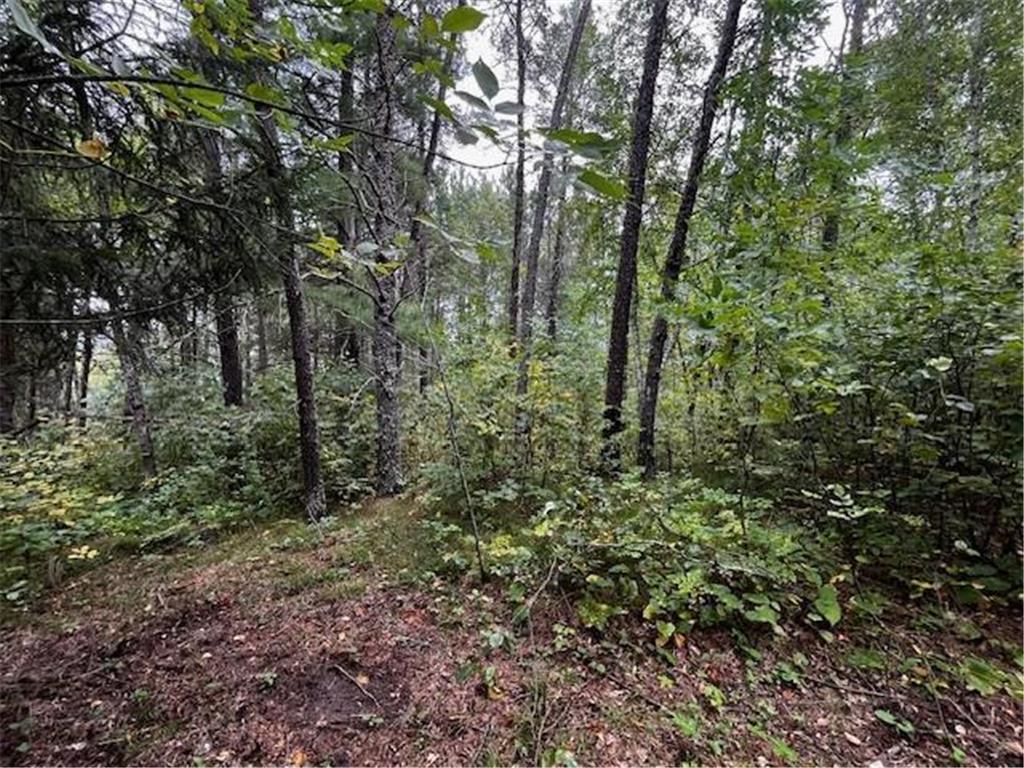 Tract B Jewel Drive Park Rapids MN 56470 - Bad Axe 6782350 image30