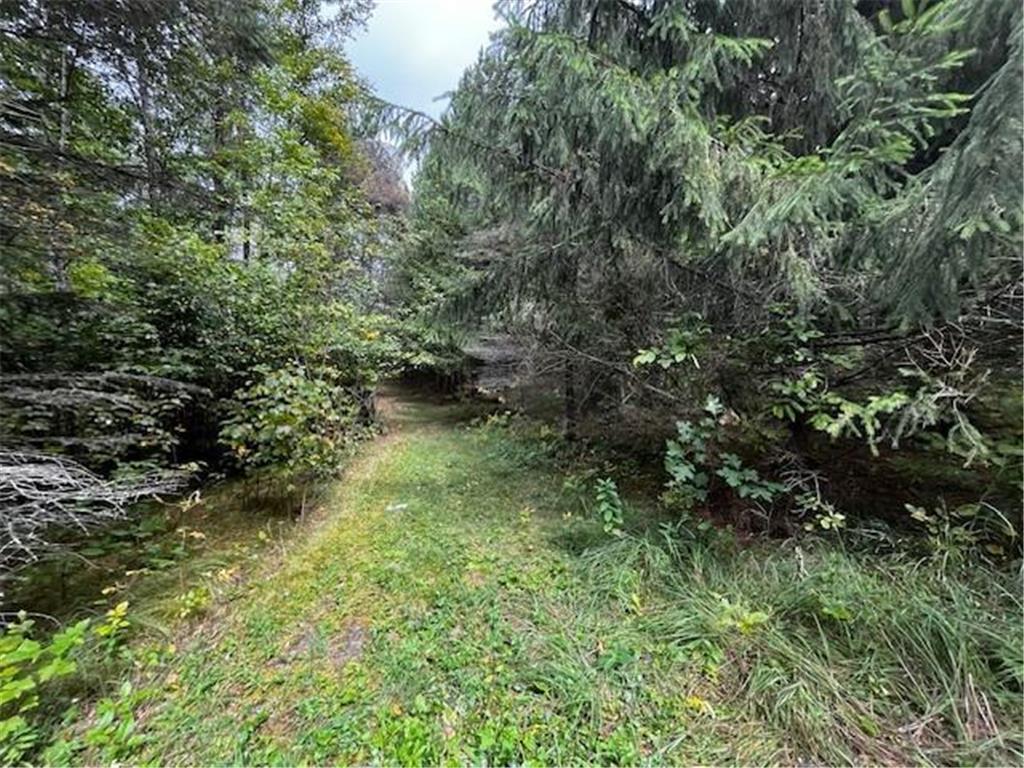 Tract B Jewel Drive Park Rapids MN 56470 - Bad Axe 6782350 image31