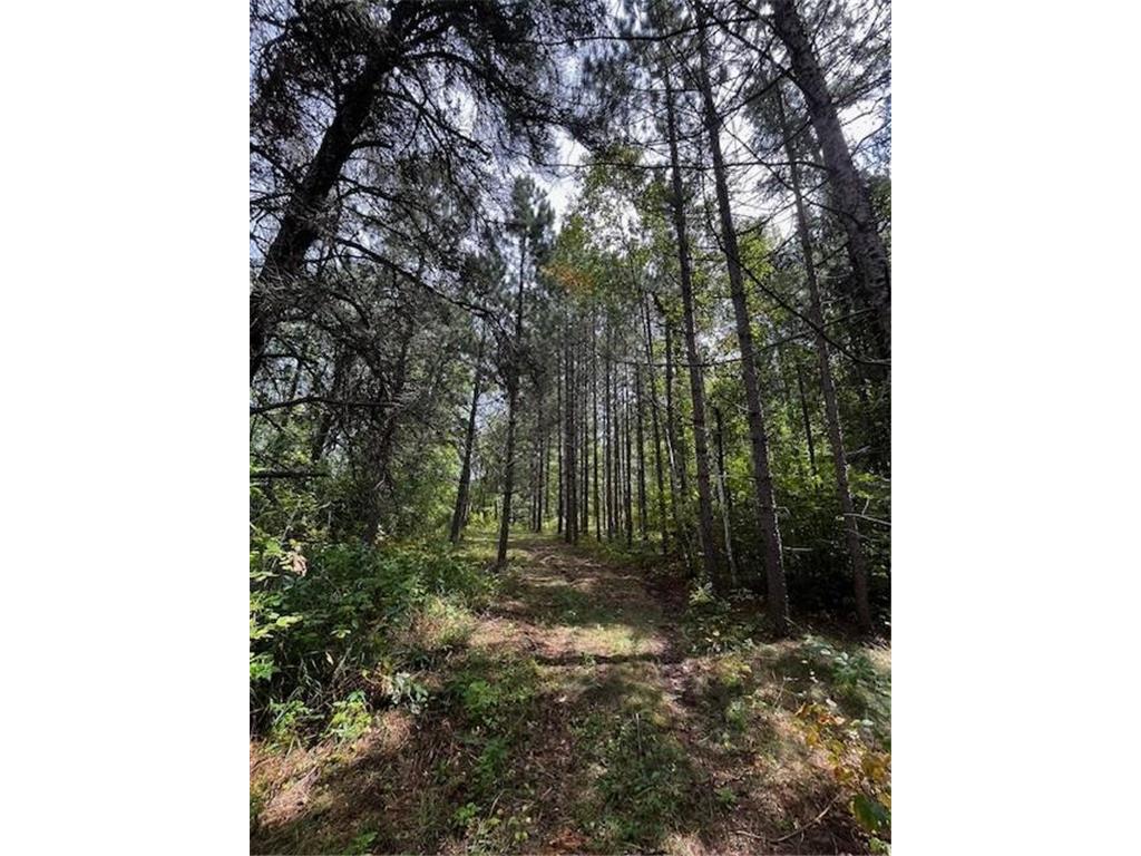 Tract B Jewel Drive Park Rapids MN 56470 - Bad Axe 6782350 image33